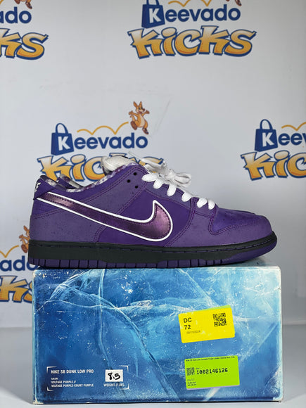 Nike SB Dunk Low Concepts Purple Lobster Special Box 8.5m Keevado Kicks