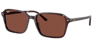 Ray-Ban Raimond Sunglasses Havana/Polar Brown Lenses